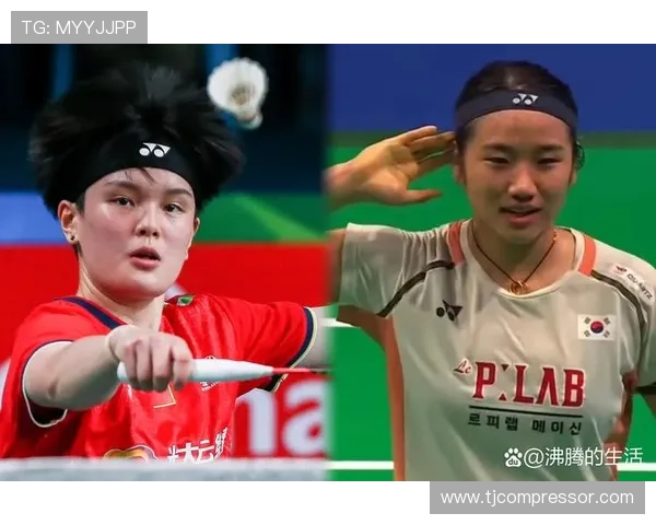 陈雨菲王祉怡冲击安洗莹瓶颈